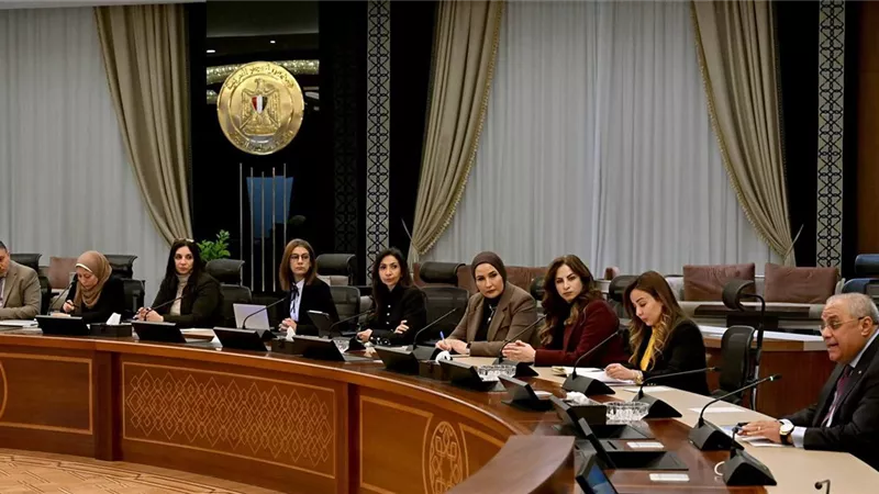 لتسريع تنفيذ الطروحات الحكومية.. عقد أول اجتماع للجنة مراجعة القيمة العادلة للشركات المملوكة للدولة