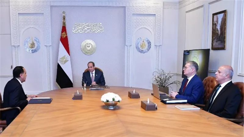 السيسي يتابع توفير المواد البترولية للقطاعات الإنتاجية ومحطات الكهرباء