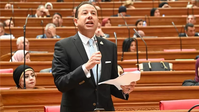 برلماني: التوجيهات الرئاسية لضبط الأسواق تحمي المواطن من الغلاء ومستغلي الأزمات