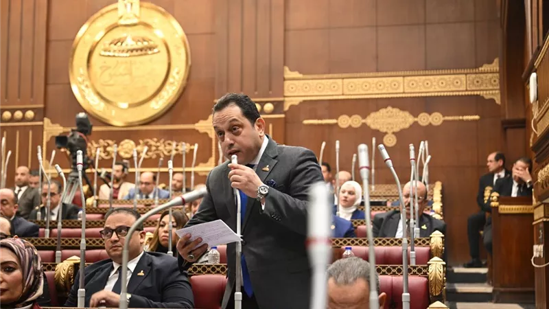 الجندي يطالب الحكومة بخطة عاجلة لاستيعاب عودة العمالة المصرية من الخليج
