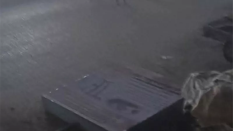 اقتلاع أشجار وهبوط منزل.. ننشر أسماء ضحايا الطقس السيئ في أسيوط 