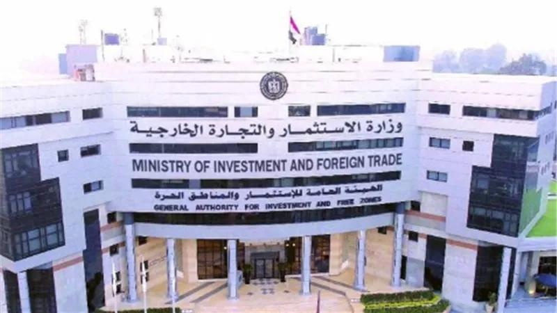 خطوة بخطوة.. كيف تؤسس شركة الشخص الواحد بيوم واحد عبر بوابة الاستثمار؟