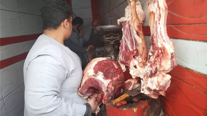 ضبط 206 مخالفات و200 كيلو فراخ فاسدة في حملة بالمنيا