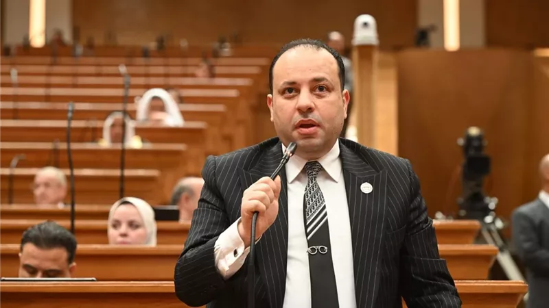 برلماني: خطط الحكومة لتنمية سيناء خطوة استراتيجية لجذب المستثمرين وتوفير فرص العمل