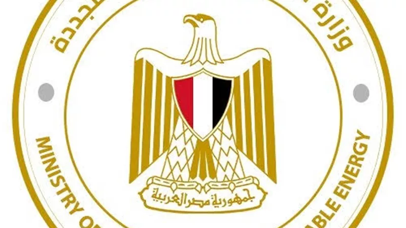 توصية برلمانية بشأن أزمة إجازات العاملين بوزارة الكهرباء