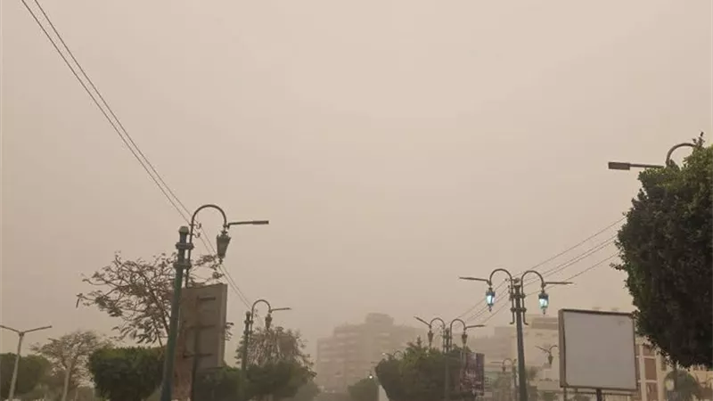 المنيا تشهد عاصفة ترابية.. رياح قوية تضعف الرؤية وتحذيرات من الحوادث