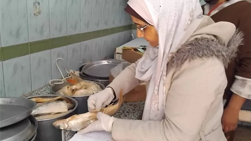 حملات بيطرية مكثفة بالمنيا تضبط 177 كيلو لحوم وأسماك فاسدة