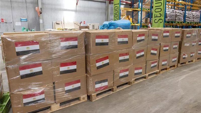 مصر تُرسل 1000 طن من المساعدات الإغاثية العاجلة إلى لبنان