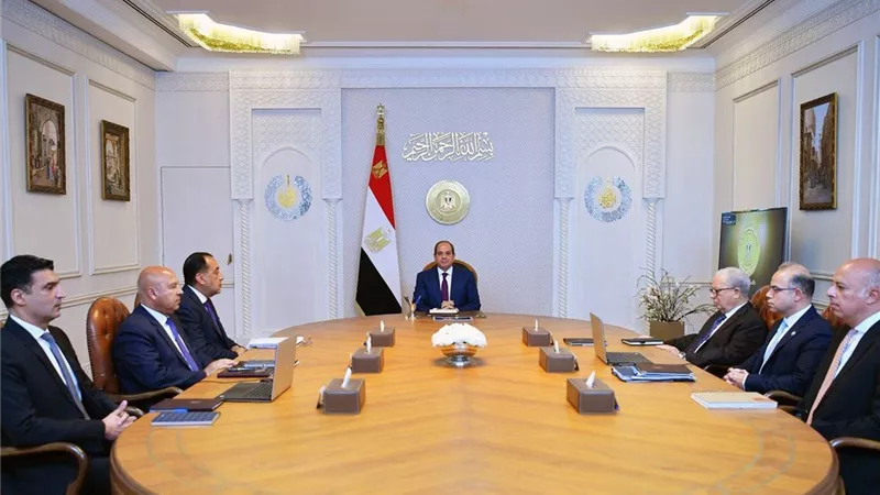 السيسي يوجه بحماية الاقتصاد المصري من الآثار الناجمة عن الممارسات الضارة بالتجارة الدولية