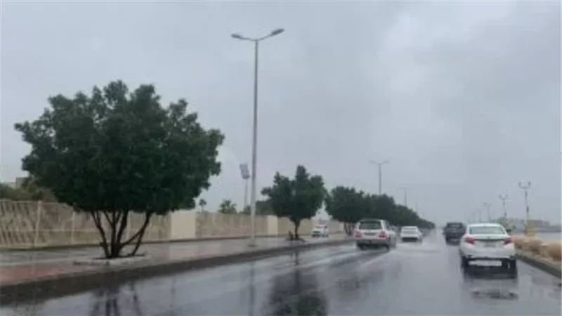 عاصفة تضرب البلاد.. الأرصاد تحذر من أمطار رعدية ورياح شديدة بهذه المحافظات 