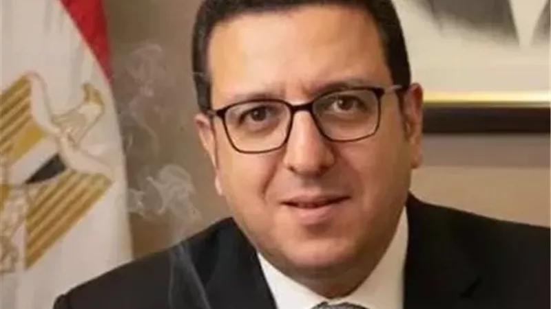 تأجيل استئناف المحامي علي أيوب على حبسه 3 سنوات في قضية وزيرة الثقافة