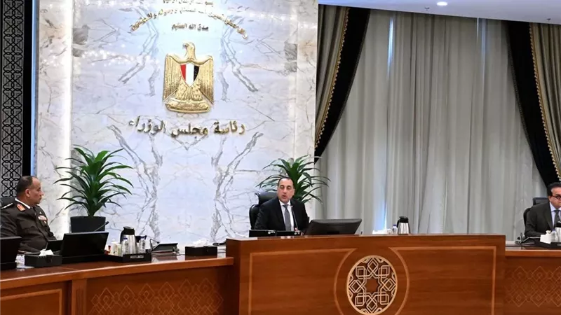 مجلس الوزراء يفرض معايير صارمة لكفاءة الطاقة على الأجهزة الكهربائية