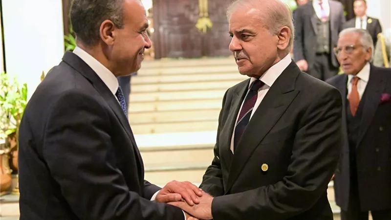 مباحثات مصرية - باكستانية لترسيخ التعاون وتهدئة التوترات في الإقليم