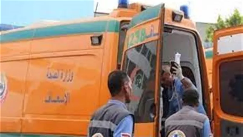 إصابة 3 من أسرة واحدة في حادث تصادم مروع بمركز أجا في الدقهلية