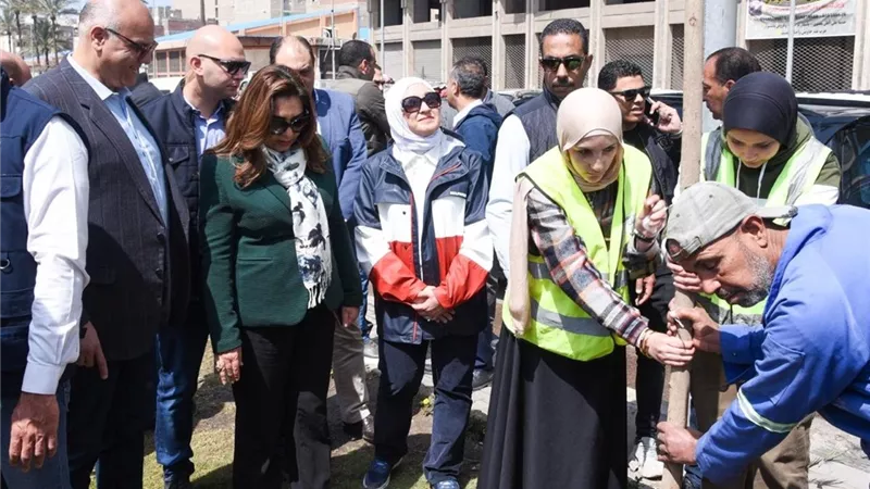 تحرك حكومي لتعزيز المساحات الخضراء.. متابعة أعمال زراعة الأشجار بالإسكندرية