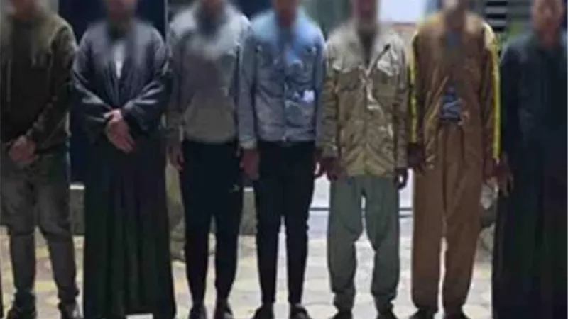 مشاجرة بسبب خلافات الجيرة في البحيرة.. وضبط جميع المتورطين