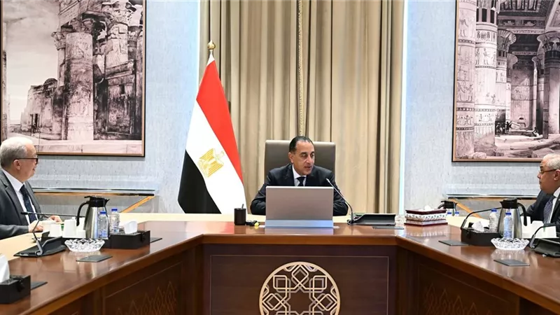 رئيس الوزراء يتابع مستجدات موقف ملف الشركات المملوكة للدولة