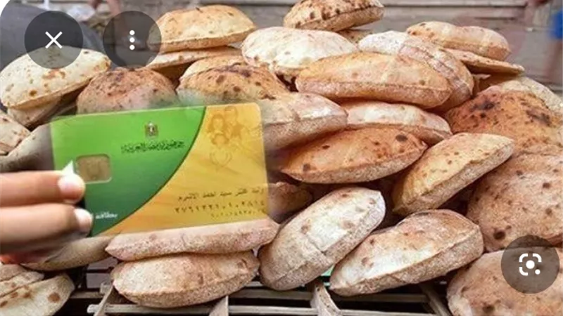 الحكومة: توافر القمح واستقرار الخبز المدعوم رغم التحديات