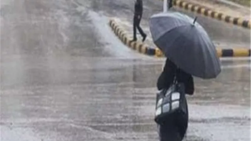 بسبب الطقس السيئ.. تعطيل الدراسة غدًا في الدقهلية ورفع حالة الطوارئ بالمحافظة