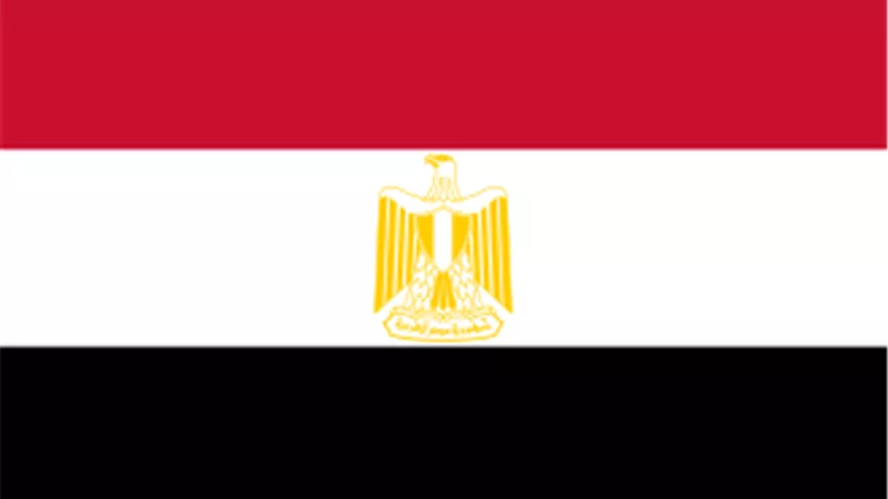 مصر وأوغندا نحو شراكة شاملة.. استثمارات وطاقة وصحة لتعزيز التنمية الإفريقية