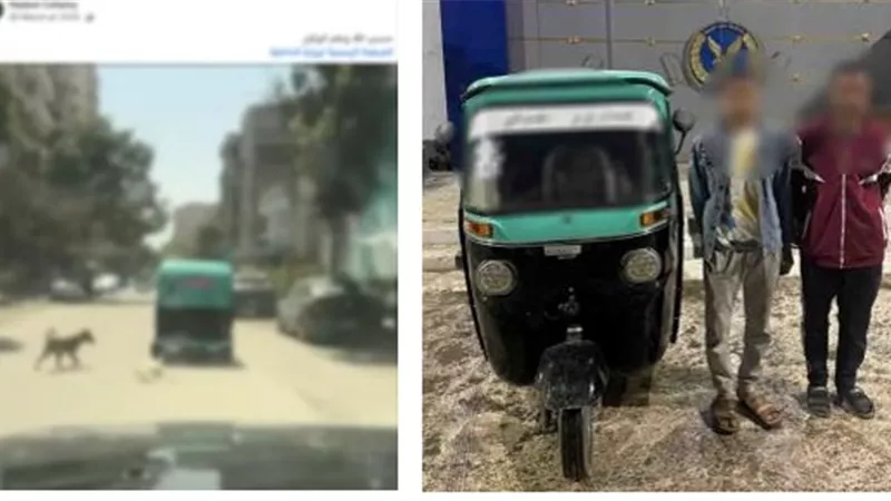 الأمن يكشف ملابسات فيديو ربط كلب نافق بخلفية توك توك في القاهرة