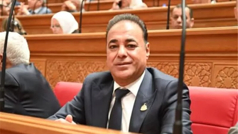 برلماني: استيراد النفط الليبي يجسد قوة العلاقات المصرية الليبية