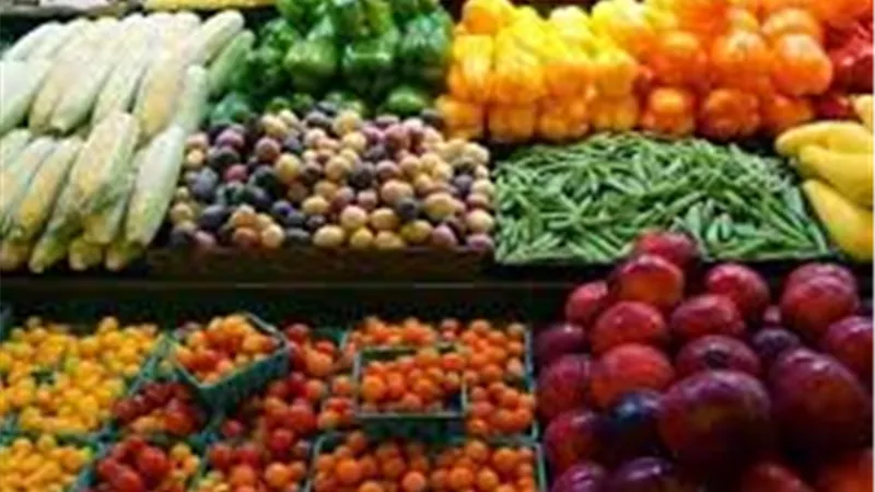 نقيب الفلاحين: أسواق الخضروات تشهد حاليًا وفرة كبيرة في المعروض