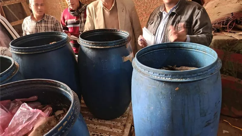 ضبط أكثر من نصف طن أغذية فاسدة خلال حملة رقابية مكثفة بالمنيا 