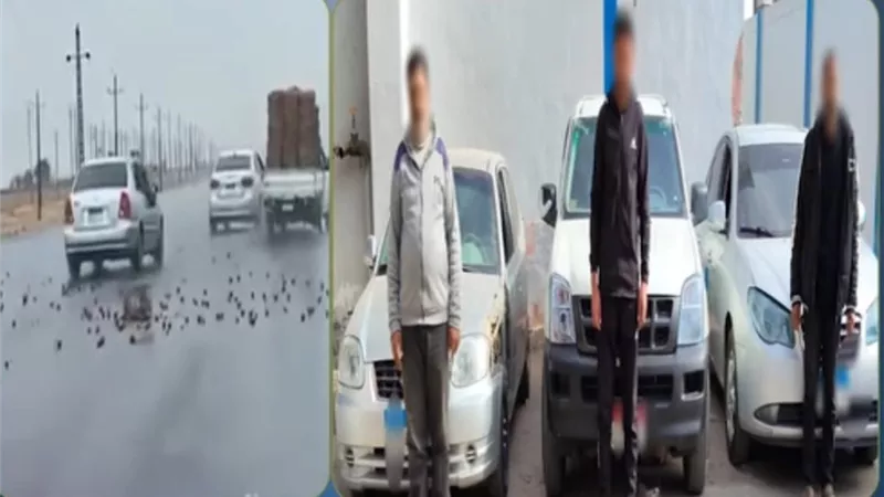 بسبب خلافات الجيرة.. الأمن يكشف ملابسات فيديو 
