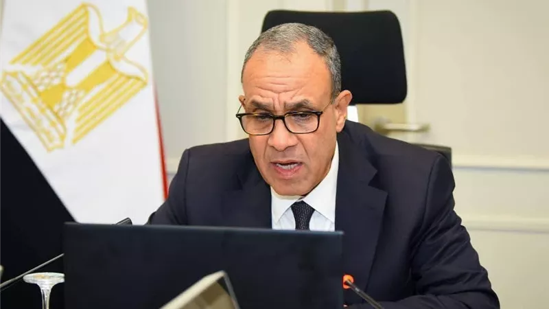 وزير الخارجية يشارك بالاجتماع الافتراضي مع أبناء الجالية المصرية في الأردن