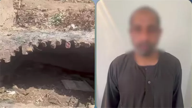 فيديو 