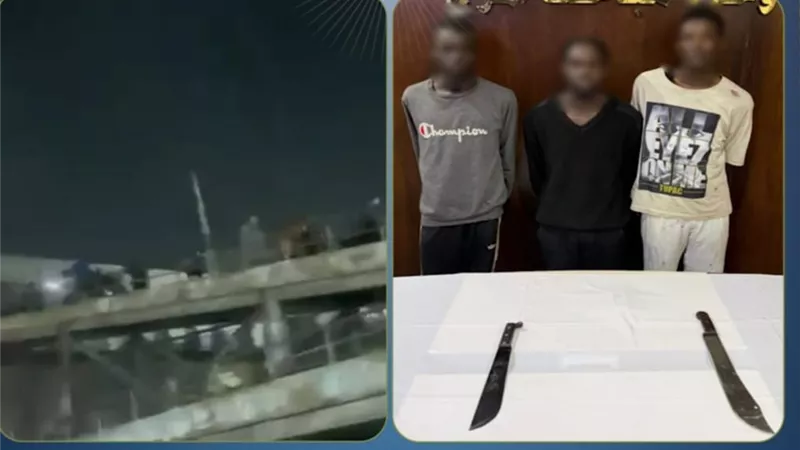 تجديد حبس 3 أجانب لاتهامهم بقتل شخص وإصابة آخر في مشاجرة بالمرج