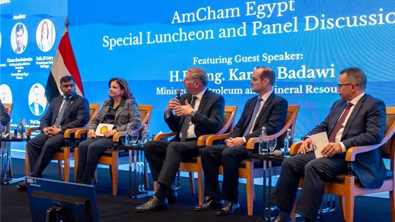 وزير البترول: المحفزات أعادت تنشيط استثمارات البحث والإنتاج