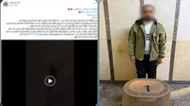 القبض على عاطل تعدى على والدته وطعن مواطن حاول منعه ببورسعيد