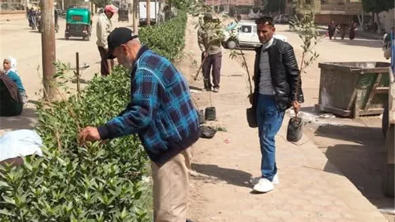 زراعة 210 شتلات بمطاي وبني مزار ضمن مبادرة «100 مليون شجرة»