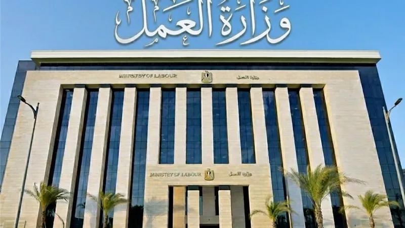 200 فرصة عمل للشباب بالواحات البحرية.. راتب 9 آلاف جنيه وسكن و3 وجبات