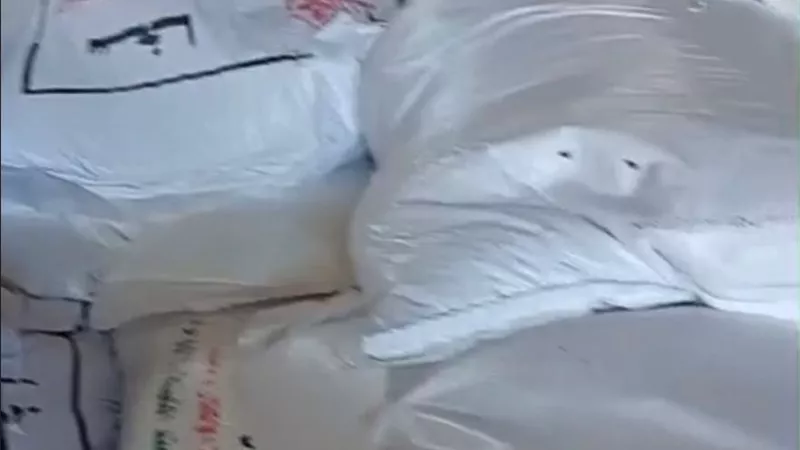 وزارة الزراعة: ضبط كميات كبيرة من تقاوي الأرز غير المعتمدة بكفر الشيخ