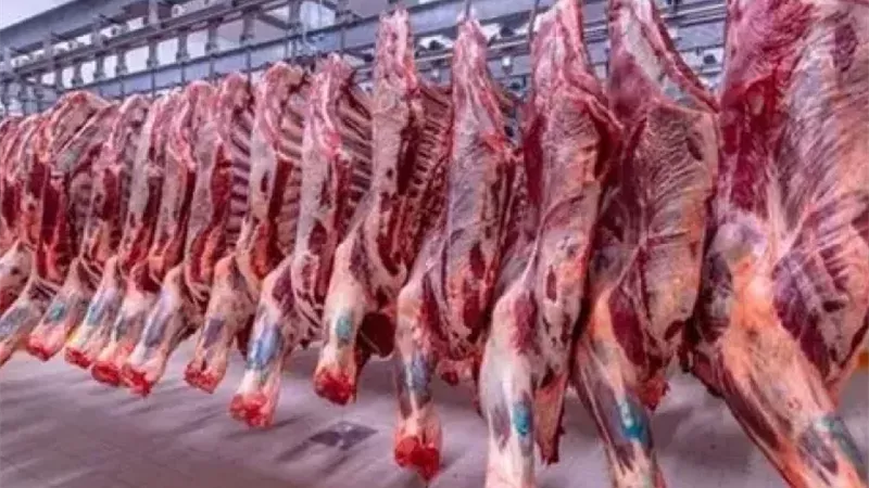 تباين في محلات الجزارة.. أسعار اللحوم اليوم الأحد 28 يونيو 2026 بالأسواق