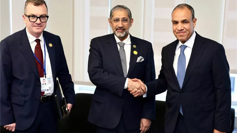نفاصيل لقاء وزير الخارجية ورئيس المصرف العربي للتنمية الاقتصادية في أفريقيا