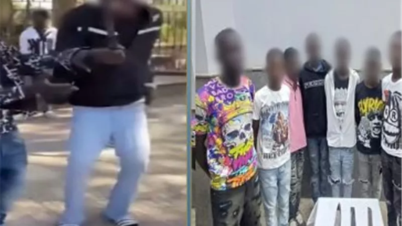 القبض على السودانيين أبطال فيديو الرقص بالأسلـ ـحة أمام حديقة الميريلاند