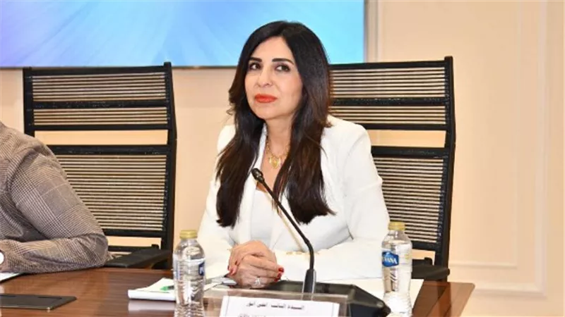 وكيل ثقافة النواب: إعلام الدولة يواجه تحديات كبيرة.. ونحتاج سرعة إتاحة الرواية الرسمية