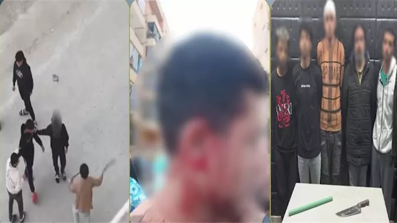 بعد معاكسة فتاة.. ضبط طرفي مشاجرة الأسلحة البيضاء في حدائق أكتوبر 