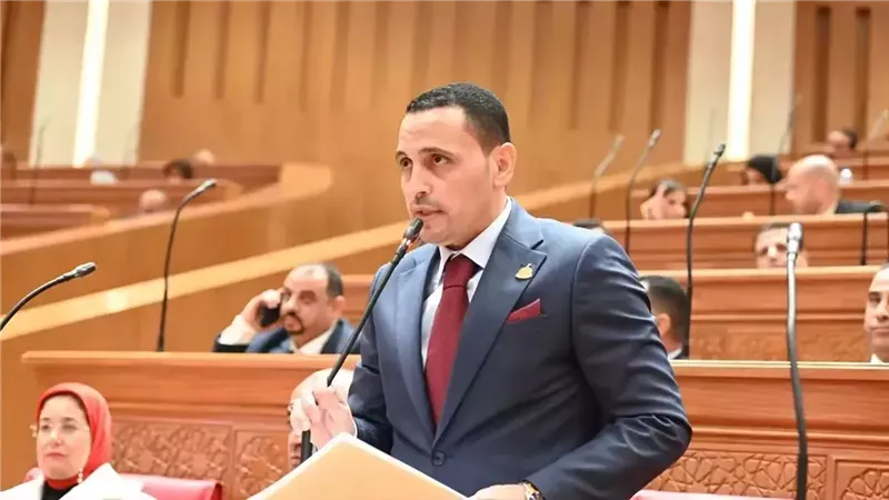 تحرك برلماني عاجل لكشف حقيقة إلغاء إقامات مصريين في الإمارات وطمأنة الجالية