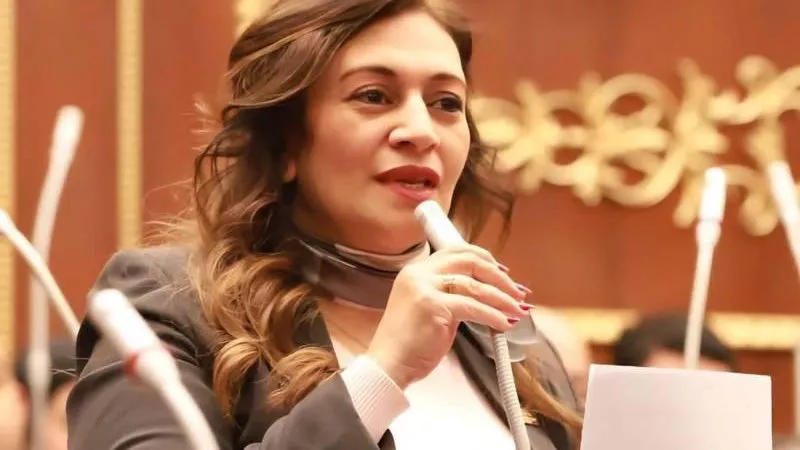 برلمانية تطالب بمراجعة أسعار الإنترنت: المواطن لا يشعر بتحسن الخدمة رغم زيادة التكلفة| خاص