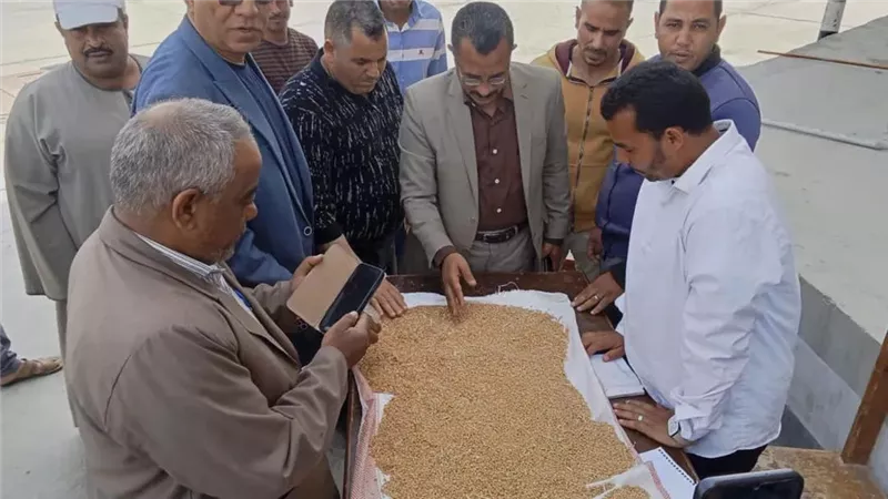 المنيا تفتح موسم القمح بقوة.. توريد 9 آلاف طن في أول أيام الحصاد