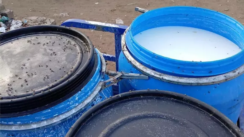 ضبط 2 طن ألبان مغشوشة بالفورمالين خلال حملة بالمنيا