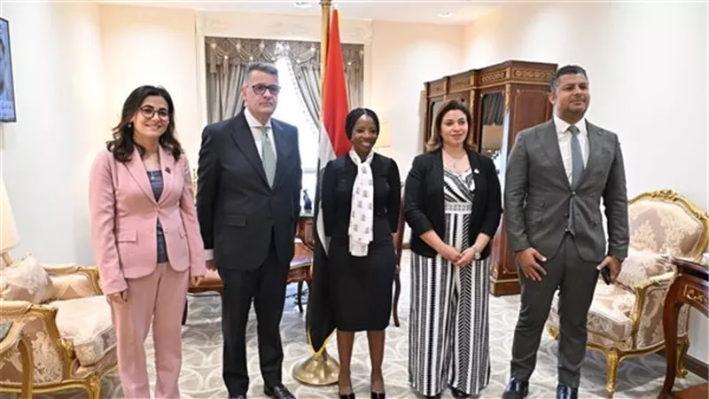  «حقوق الإنسان بالنواب» تبحث مع أمين مظالم جنوب أفريقيا تبادل الخبرات ودعم الشفافية