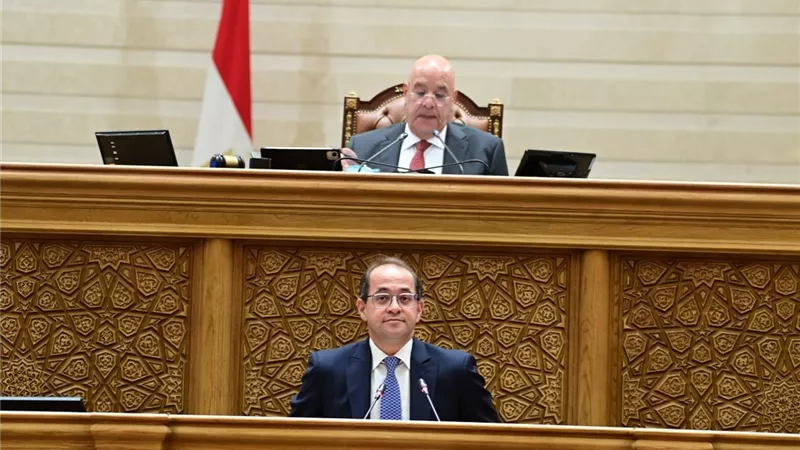 وزير المالية أمام النواب: زيادة الأجور والمعاشات في مقدمة أولويات الموازنة الجديدة 