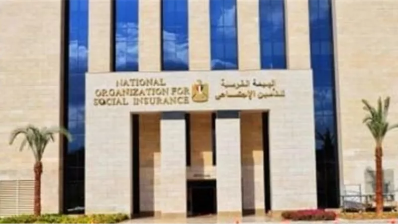 خطوة بخطوة.. كيف تؤمّن نفسك لو بتشتغل باليومية؟