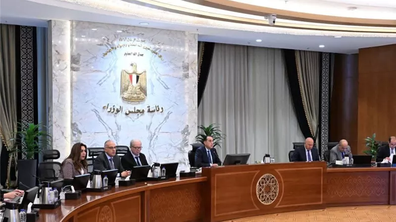 رئيس الوزراء يترأس اجتماع المجلس الأعلى للطاقة